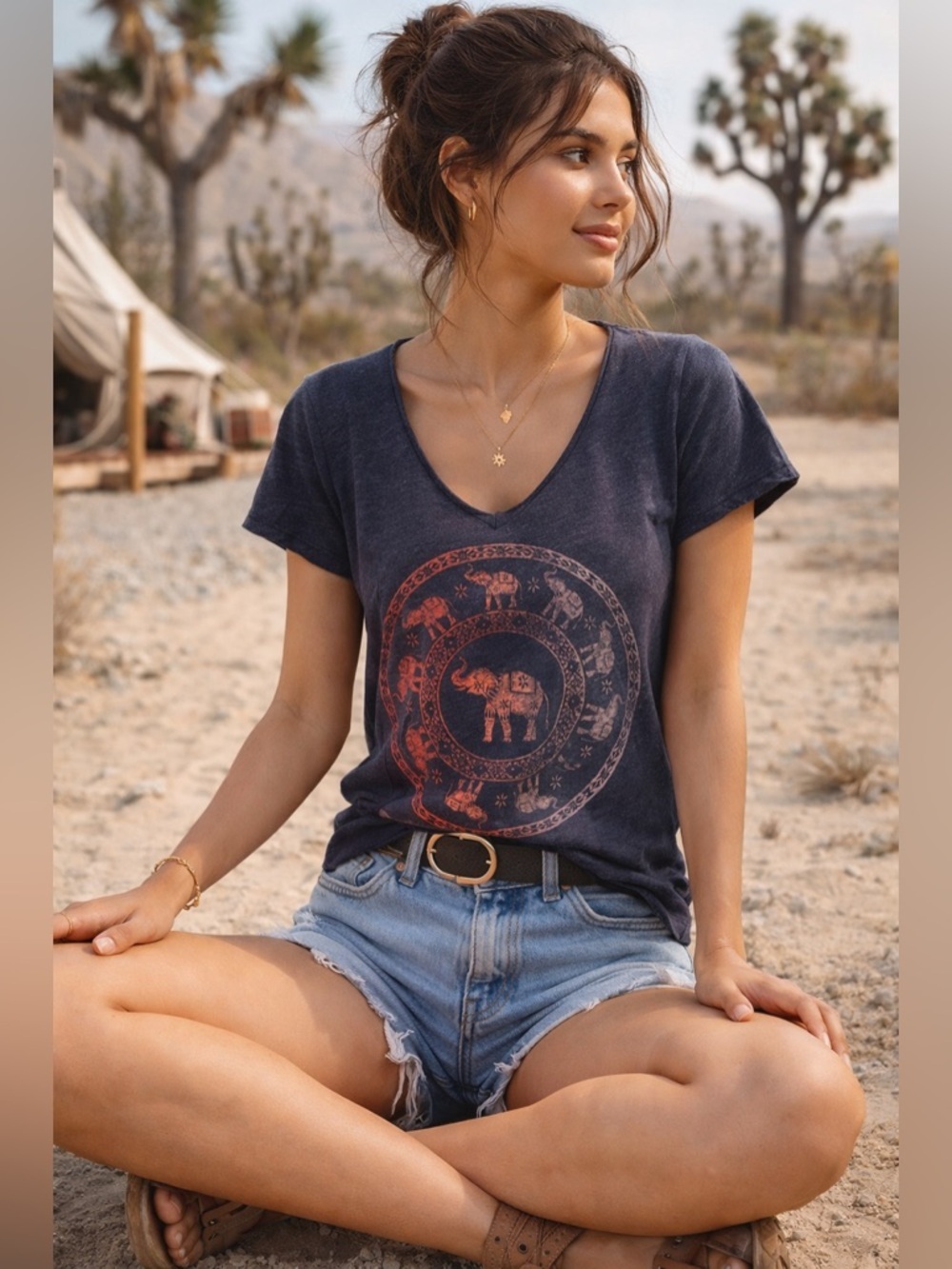 Hollister Lucky Elephant Trunk Up Graphic Tee Boho Festival V Neck T Shirt XS